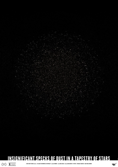 Insignificant Specks of Dust in a Tapestry of Stars