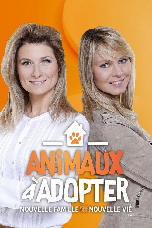 Animaux à adopter