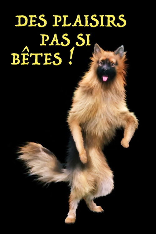 Animals: Drugs, Sex and Fun!