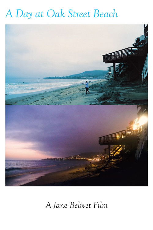 A Day at Oak Street Beach