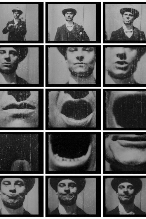 A Photographic Contortion