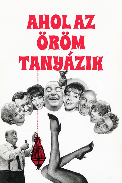 Ahol az öröm tanyázik