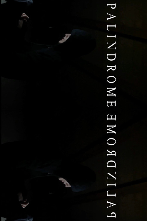 PalindromeemordnilaP