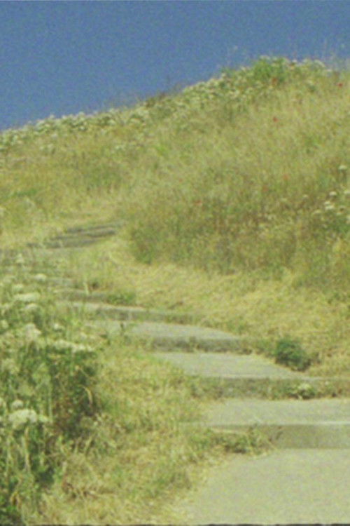 The seagull... and the glory of God