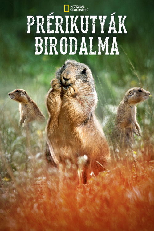 Prérikutyák birodalma