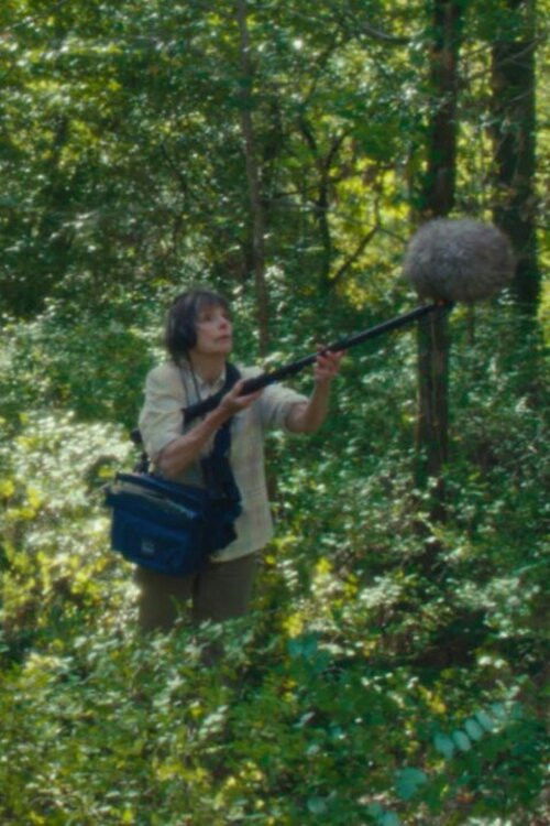 The Mysterious Adventures of Claude Conseil