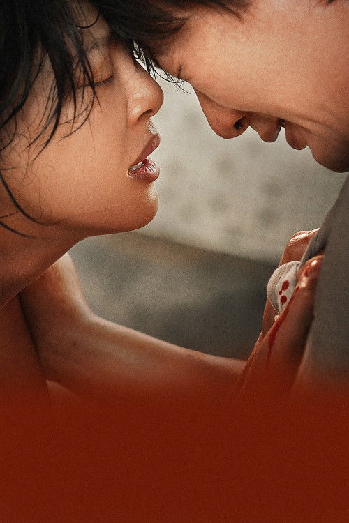 The Sun Rises on Us All