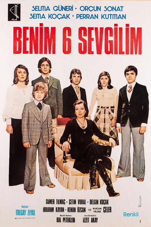 Benim 6 Sevgilim