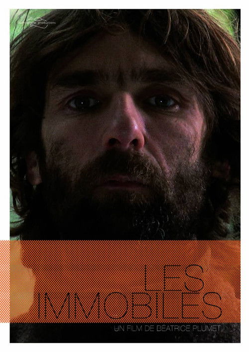 Les immobiles