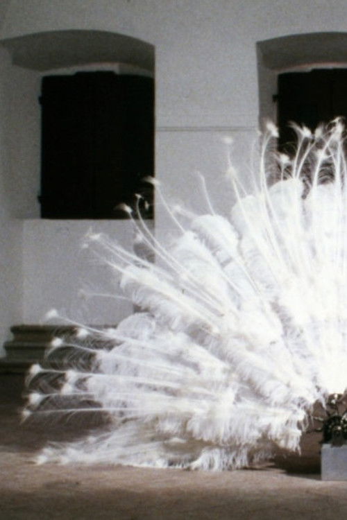 La Ferdinanda. Sonate für eine Medici-Villa