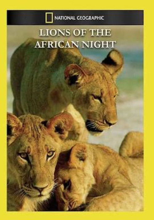Night of the Lion