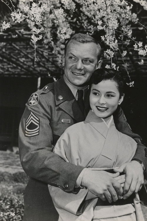 Three Stripes in the Sun