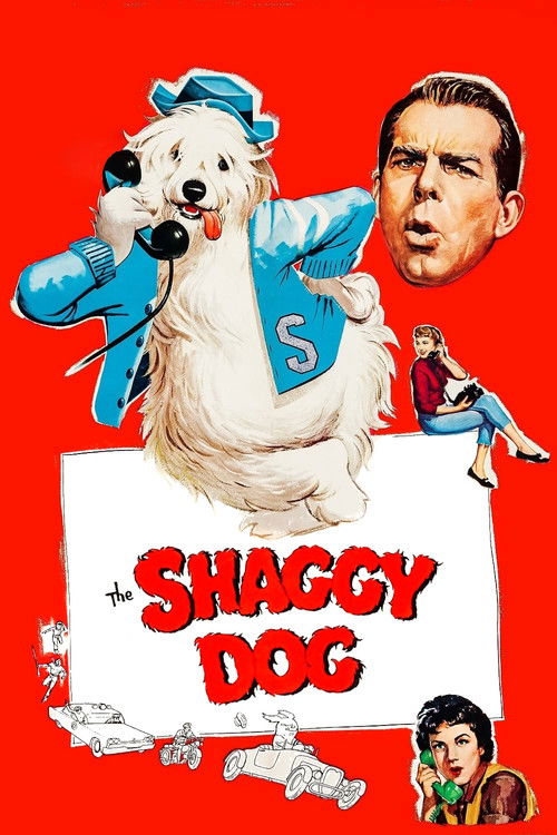 The Shaggy Dog