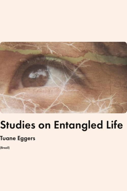 Studies on Entangled Life
