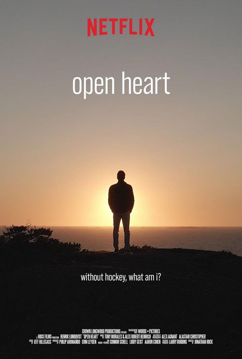 Henrik Lundqvist - Open Heart