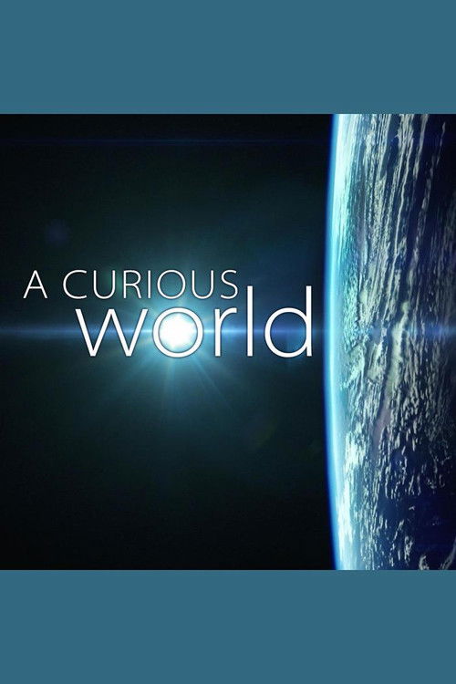 A Curious World