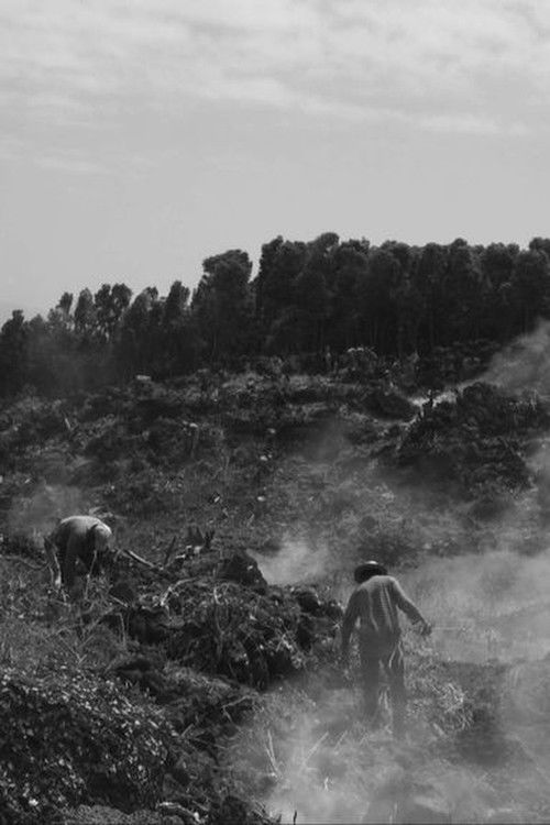 Spirits and Rocks: An Azorean Myth