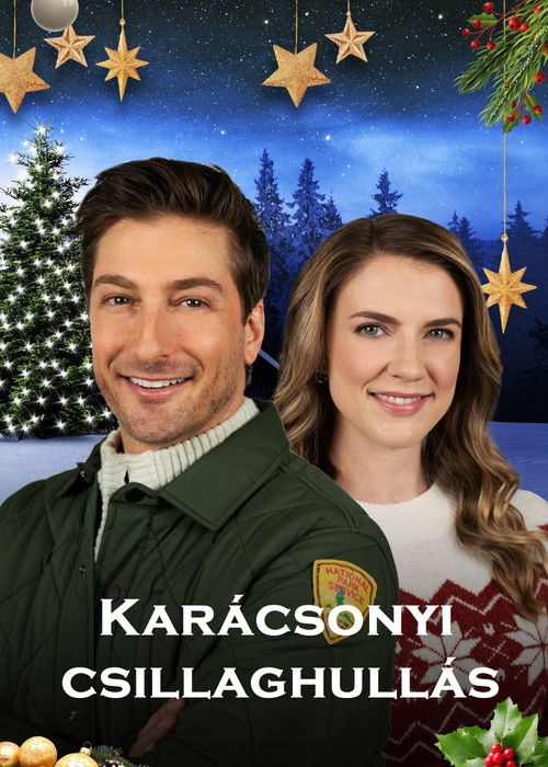 Karácsonyi csillaghullás