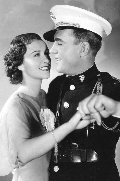 Devil Dogs of the Air