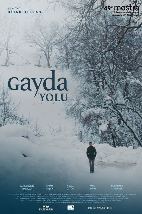 The Road to Gayda