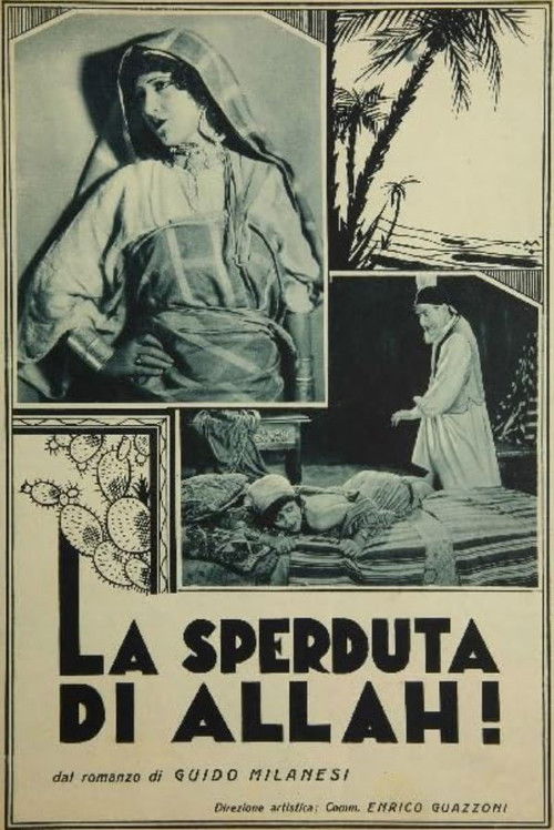 La sperduta di Allah
