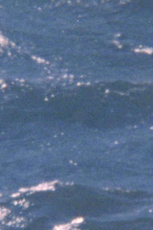 The possibility of being sea