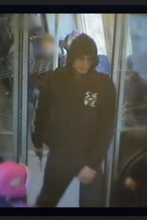 The Attack - The Copenhagen Shootings