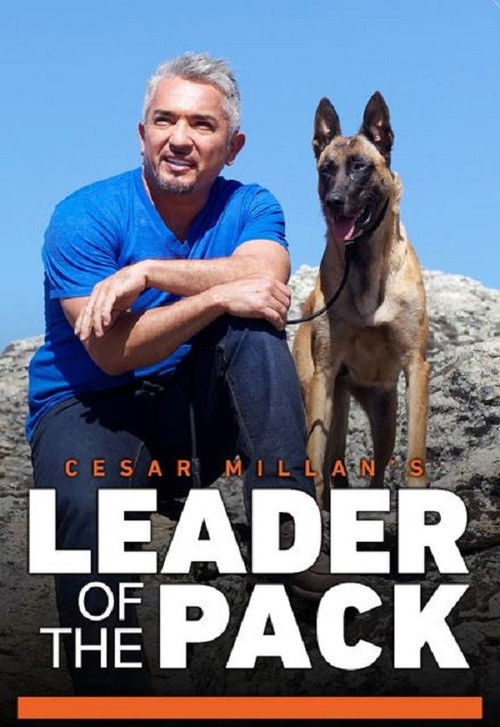 Cesar Millan, a falkavezér