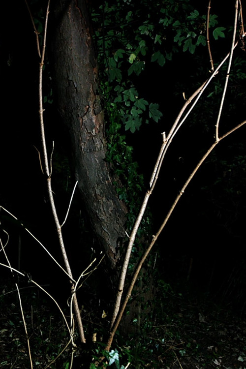 Cyclothymia of a Land