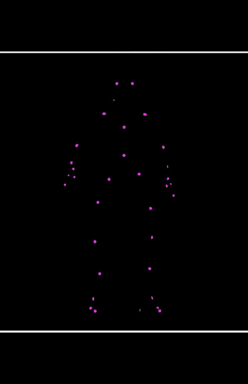 Network Reconstruction Of Nematode Symbionts
