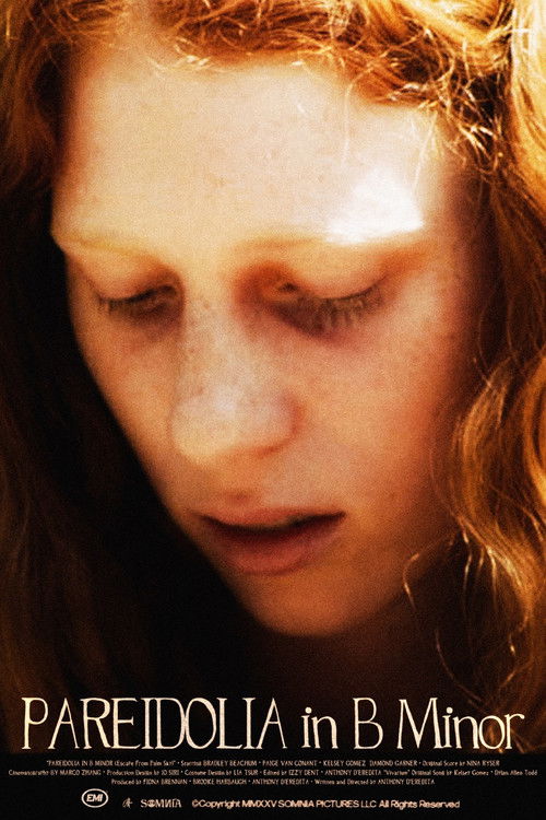 Pareidolia in B Minor