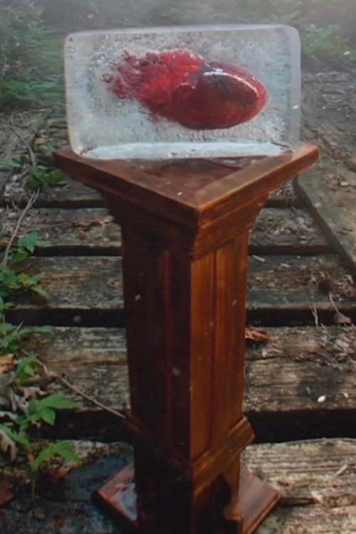 The Valley of Vision