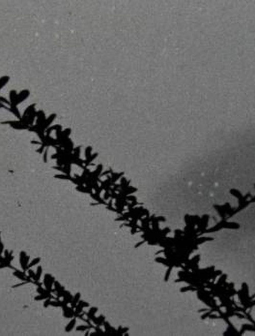 The things that stand the test of time