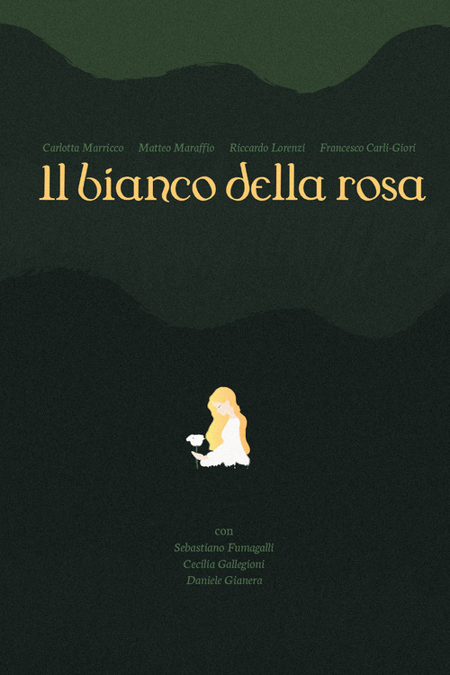 il bianco della rosa