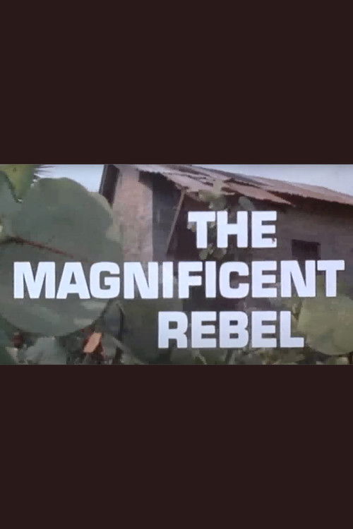 The Magnificent Rebel