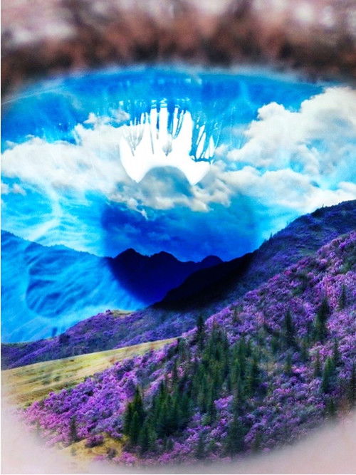 Пять чувств Алтая