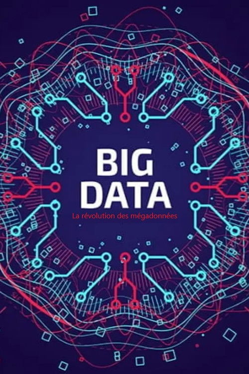 Big Data - La révolution des mégadonnées