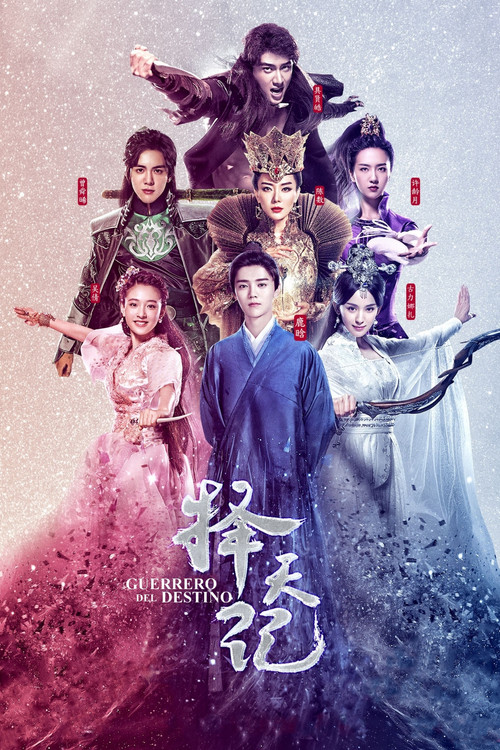 Fighter of the Destiny