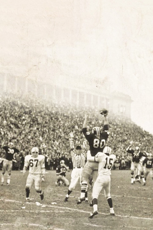 Harvard Beats Yale 29-29