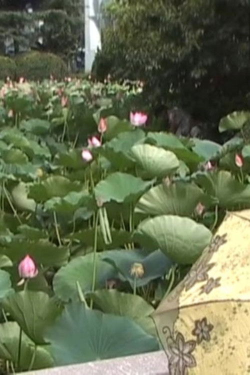 People’s Park Reverie