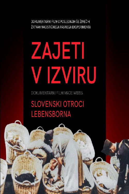Zajeti v izviru – Slovenski otroci Lebensborna