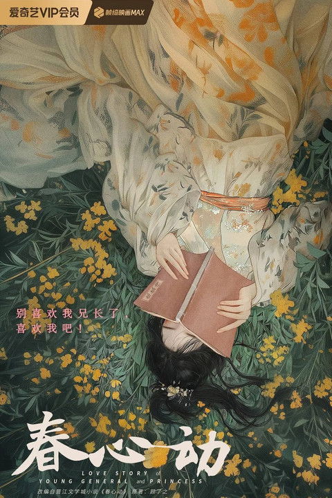 Love Story of Young General and Princess