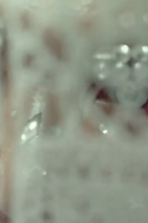 I'm Not In Love (How To Feed On Humans)