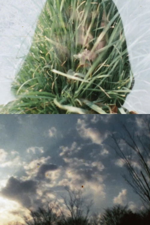 For the Love of Dolly