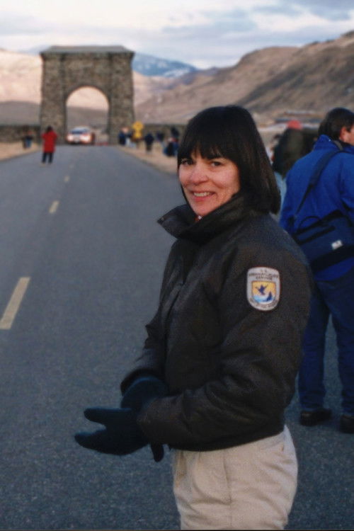 Lost Wolves of Yellowstone