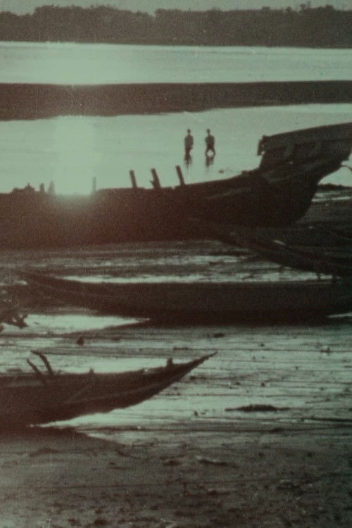 The Twilight of Tamsui