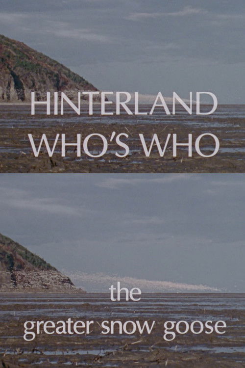 Hinterland Who's Who: The Greater Snow Goose