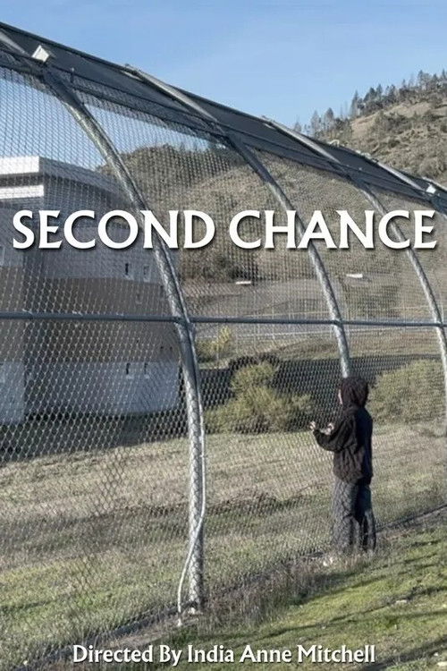 Second Chance