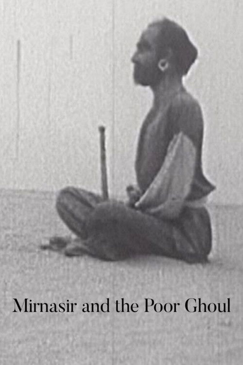 MirNasir and the Ill-Fated Genie