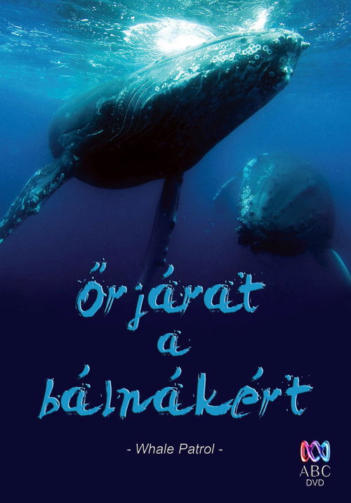 Őrjárat a bálnákért